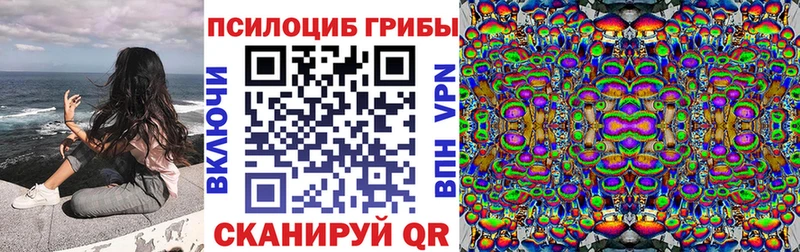 Галлюциногенные грибы Psilocybine cubensis  где купить наркоту  KRAKEN ссылка  Вольск 